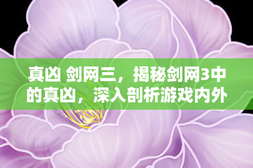 真凶 剑网三，揭秘剑网3中的真凶，深入剖析游戏内外的种种疑云