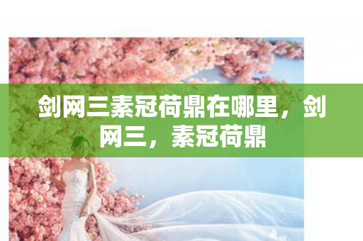 剑网三素冠荷鼎在哪里，剑网三，素冠荷鼎