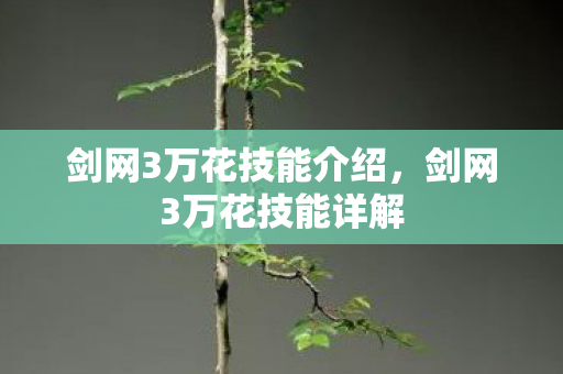 剑网3万花技能介绍，剑网3万花技能详解