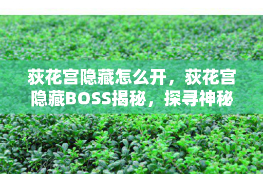 荻花宫隐藏怎么开，荻花宫隐藏BOSS揭秘，探寻神秘的传说之地