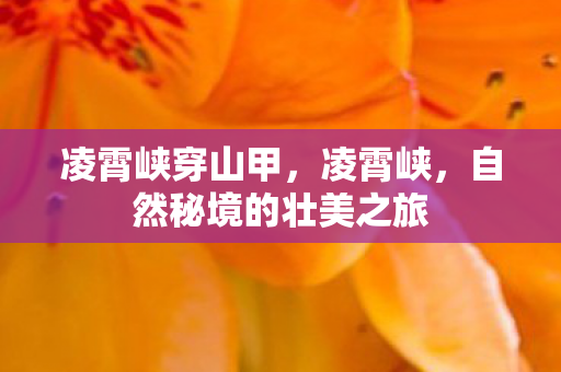 凌霄峡穿山甲，凌霄峡，自然秘境的壮美之旅