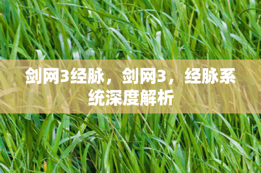 剑网3经脉，剑网3，经脉系统深度解析