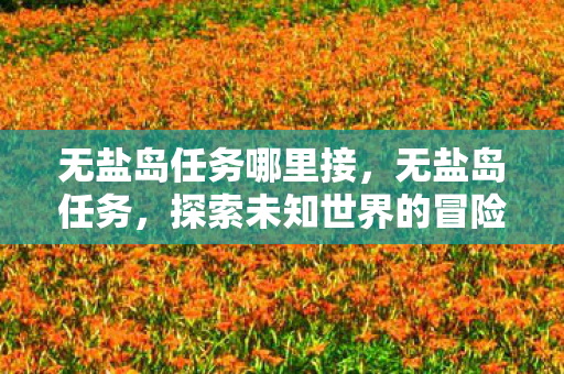 无盐岛任务哪里接，无盐岛任务，探索未知世界的冒险之旅