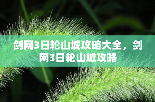 剑网3日轮山城攻略大全，剑网3日轮山城攻略