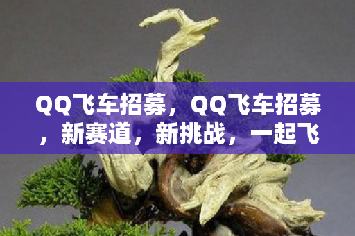 QQ飞车招募，QQ飞车招募，新赛道，新挑战，一起飞驰人生！