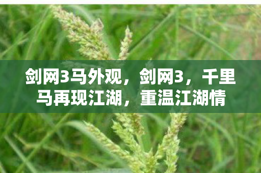 剑网3马外观，剑网3，千里马再现江湖，重温江湖情