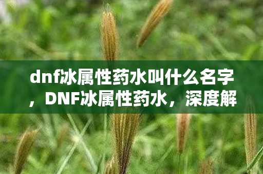 dnf冰属性药水叫什么名字，DNF冰属性药水，深度解析与使用指南