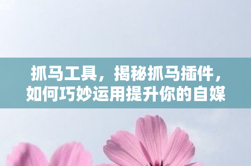 抓马工具，揭秘抓马插件，如何巧妙运用提升你的自媒体运营效果