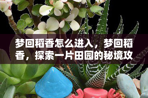 梦回稻香怎么进入，梦回稻香，探索一片田园的秘境攻略