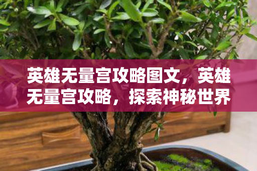 英雄无量宫攻略图文，英雄无量宫攻略，探索神秘世界的终极指南