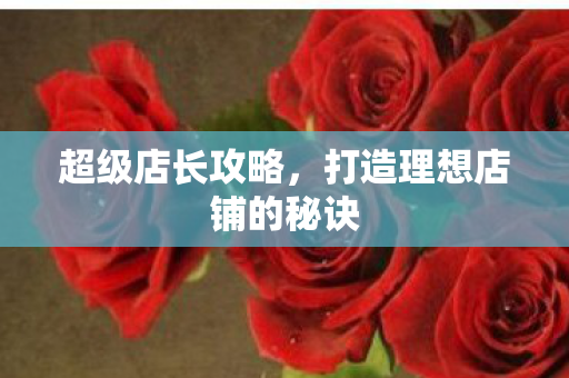 超级店长攻略，打造理想店铺的秘诀