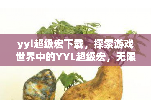yyl超级宏下载，探索游戏世界中的YYL超级宏，无限潜能与无限可能