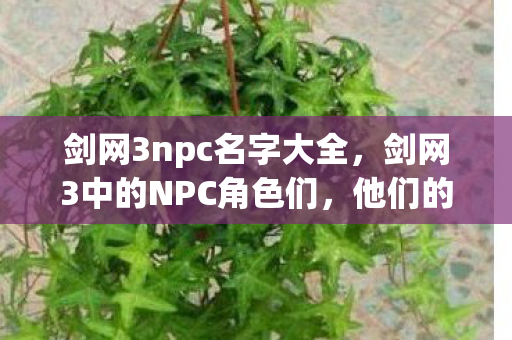 剑网3npc名字大全，剑网3中的NPC角色们，他们的故事与魅力