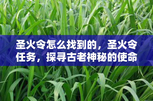 圣火令怎么找到的，圣火令任务，探寻古老神秘的使命