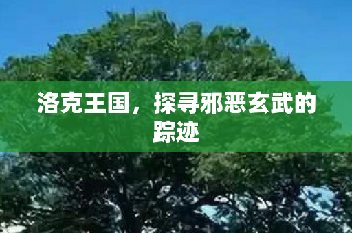 洛克王国，探寻邪恶玄武的踪迹