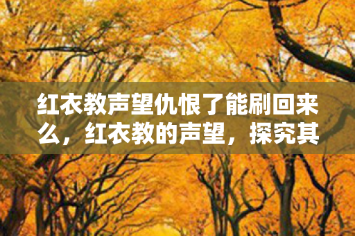 红衣教声望仇恨了能刷回来么，红衣教的声望，探究其历史、影响与现状