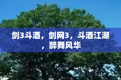 剑3斗酒，剑网3，斗酒江湖，醉舞风华