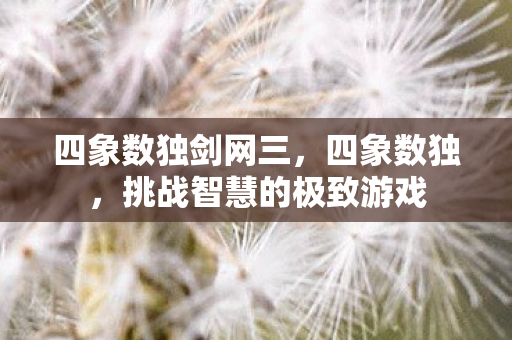 四象数独剑网三，四象数独，挑战智慧的极致游戏