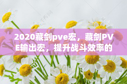 2020藏剑pve宏，藏剑PVE输出宏，提升战斗效率的秘密武器