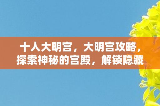 十人大明宫，大明宫攻略，探索神秘的宫殿，解锁隐藏的宝藏