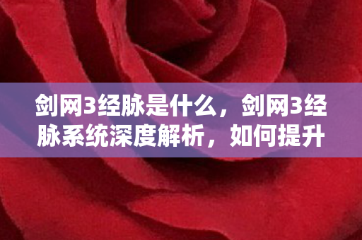 剑网3经脉是什么，剑网3经脉系统深度解析，如何提升角色实力？