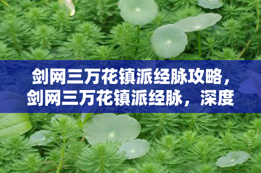 剑网三万花镇派经脉攻略，剑网三万花镇派经脉，深度解析与攻略