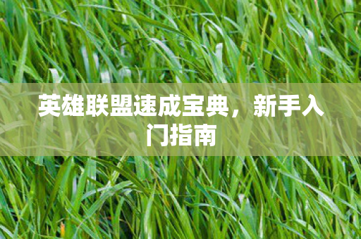 英雄联盟速成宝典，新手入门指南