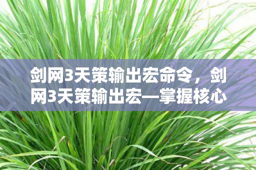 剑网3天策输出宏命令，剑网3天策输出宏—掌握核心技巧，轻松提升战斗力