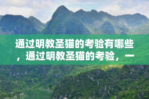 通过明教圣猫的考验有哪些，通过明教圣猫的考验，一场智慧与勇气的挑战之旅