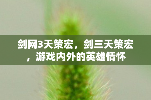 剑网3天策宏，剑三天策宏，游戏内外的英雄情怀