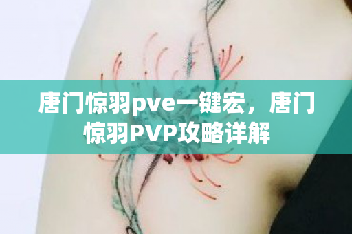 唐门惊羽pve一键宏，唐门惊羽PVP攻略详解