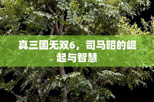 真三国无双6，司马昭的崛起与智慧