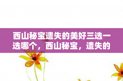 西山秘宝遗失的美好三选一选哪个，西山秘宝，遗失的美好