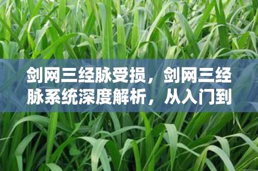 剑网三经脉受损，剑网三经脉系统深度解析，从入门到精通