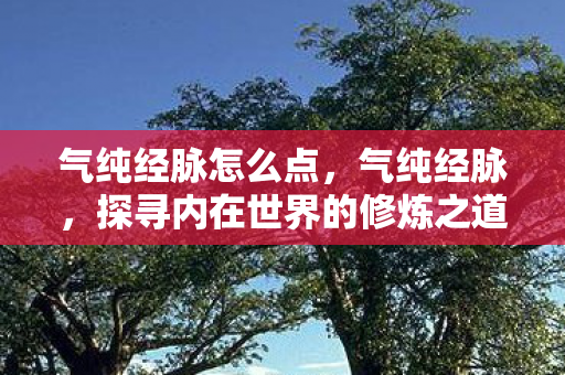 气纯经脉怎么点，气纯经脉，探寻内在世界的修炼之道