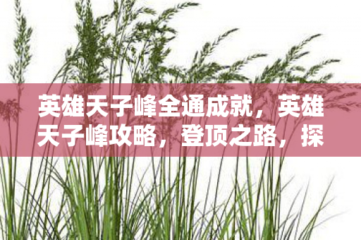 英雄天子峰全通成就，英雄天子峰攻略，登顶之路，探寻神秘之地