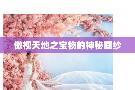 傲视天地之宝物的神秘面纱