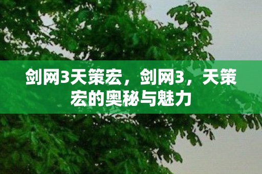 剑网3天策宏，剑网3，天策宏的奥秘与魅力