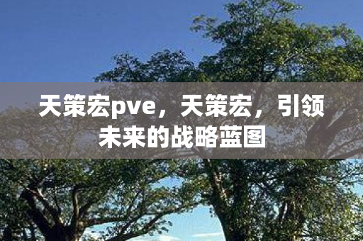 天策宏pve，天策宏，引领未来的战略蓝图