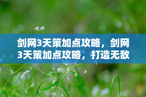 剑网3天策加点攻略，剑网3天策加点攻略，打造无敌战士