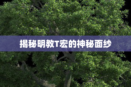 揭秘明教T宏的神秘面纱