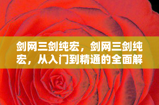 剑网三剑纯宏，剑网三剑纯宏，从入门到精通的全面解析