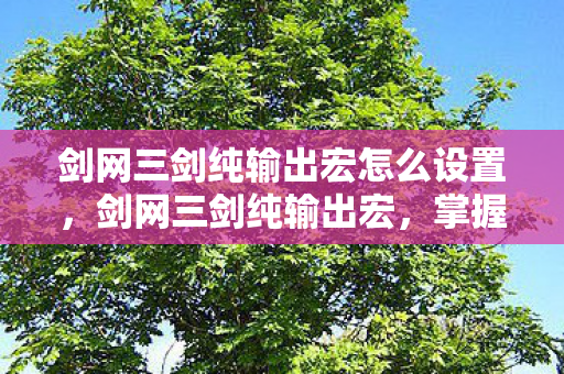 剑网三剑纯输出宏怎么设置，剑网三剑纯输出宏，掌握高效战斗技巧，轻松登顶PVP巅峰