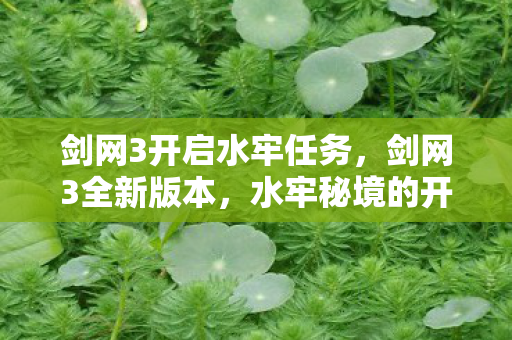 剑网3开启水牢任务，剑网3全新版本，水牢秘境的开启与探索