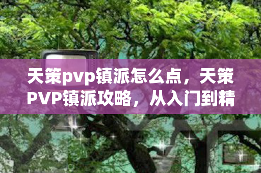天策pvp镇派怎么点，天策PVP镇派攻略，从入门到精通