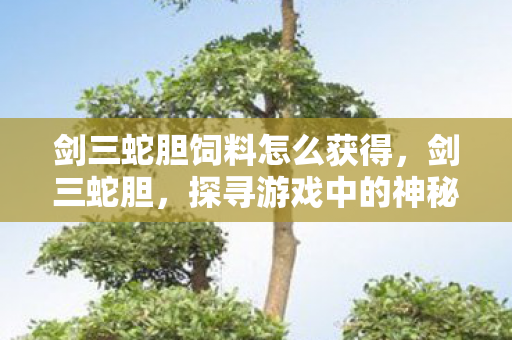 剑三蛇胆饲料怎么获得，剑三蛇胆，探寻游戏中的神秘宝藏