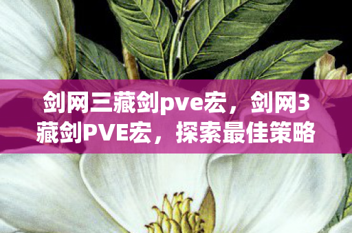 剑网三藏剑pve宏，剑网3藏剑PVE宏，探索最佳策略与技巧