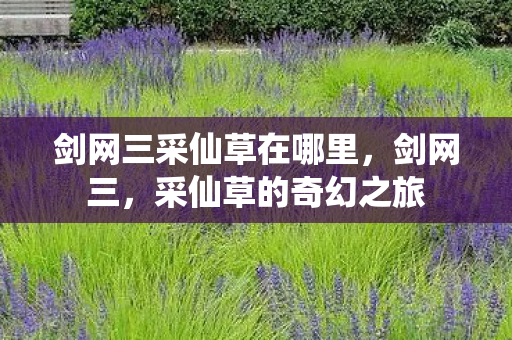 剑网三采仙草在哪里，剑网三，采仙草的奇幻之旅