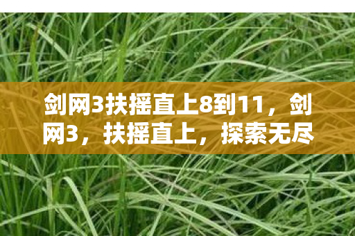 剑网3扶摇直上8到11，剑网3，扶摇直上，探索无尽江湖路