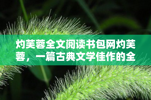 灼芙蓉全文阅读书包网灼芙蓉，一篇古典文学佳作的全文阅读